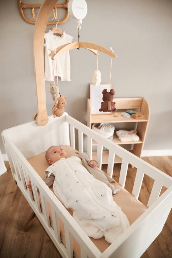 950M_20colore_20135_20–_20EM1-9-600-202503260907[1]