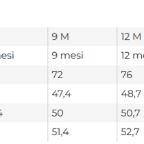 GUIDA ALLE TAGLIE GIUBBINO