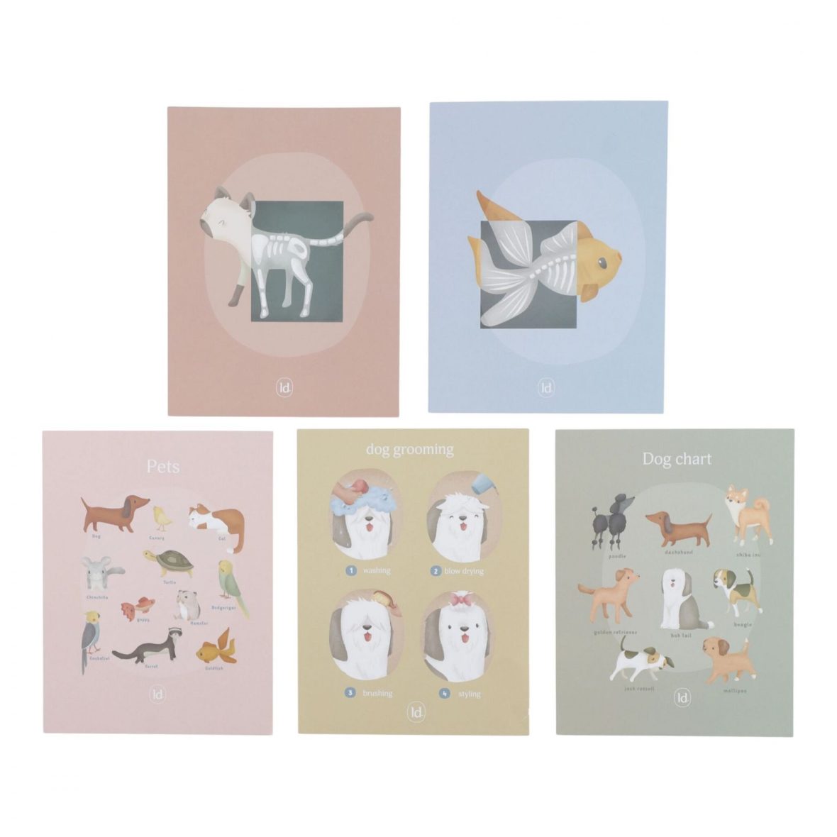 0-492887ed-1600-Banco-da-veterinario-FSC[1]