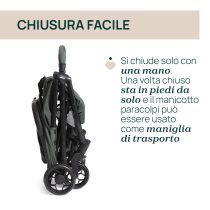 05087138750000_575_087138_575_URBINO_Evergreen_IT5_1280x1280[1]